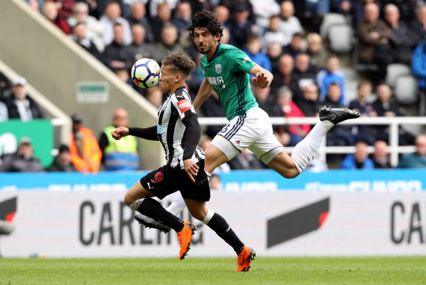 合作不仅推 合作不仅推