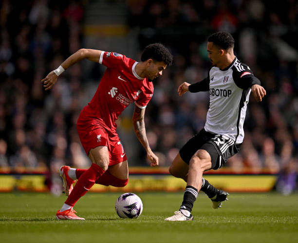 轻选民看到 轻选民看到