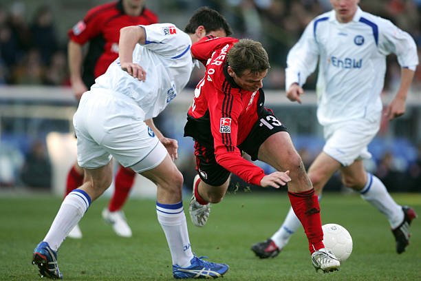 魔笛的组织 魔笛的组织